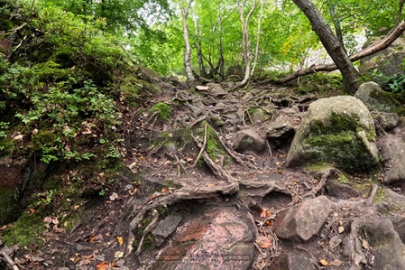 Wanderweg nach Nimis