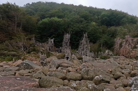 Nimis