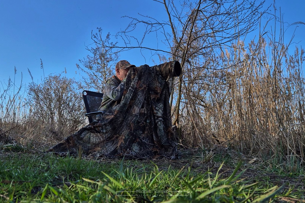 Wildlifefotografie an der Warnow